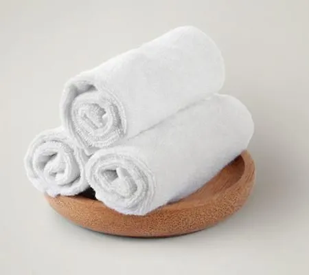 酒店 Enzo Proximite Zenith D' Auvergne Ex F1 Formule 1 Clermont Ferrand Issoire 3*