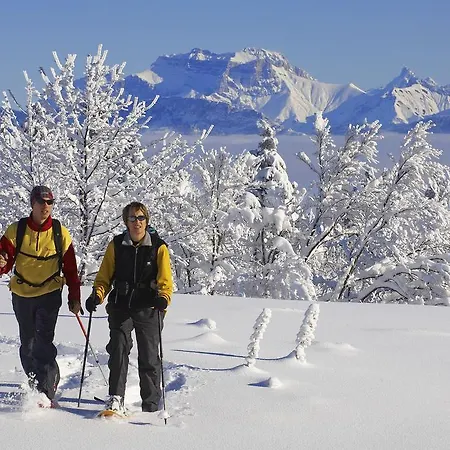 Enzo Proximite Zenith D' Auvergne Ex F1 Formule 1 Clermont Ferrand Issoire