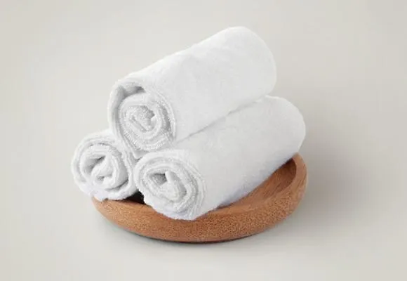 Отель Enzo Proximite Zenith D' Auvergne Ex F1 Formule 1 Clermont Ferrand Issoire 3*