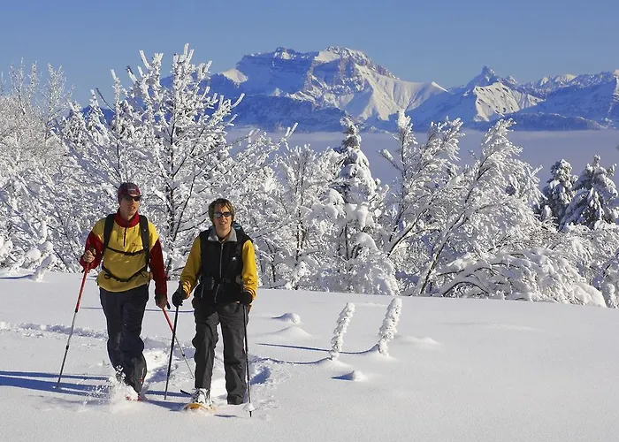 Enzo Proximite Zenith D' Auvergne Ex F1 Formule 1 Clermont Ferrand Issoire